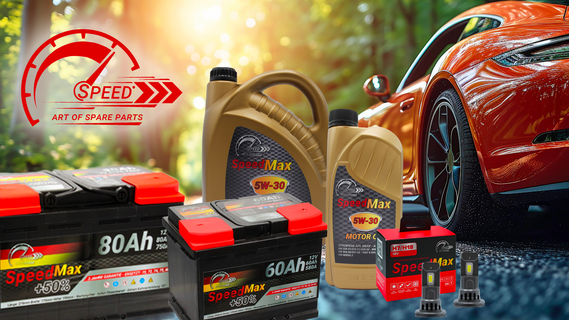 Speciale ricambi auto SPEED con buono sconto 5%: P2963